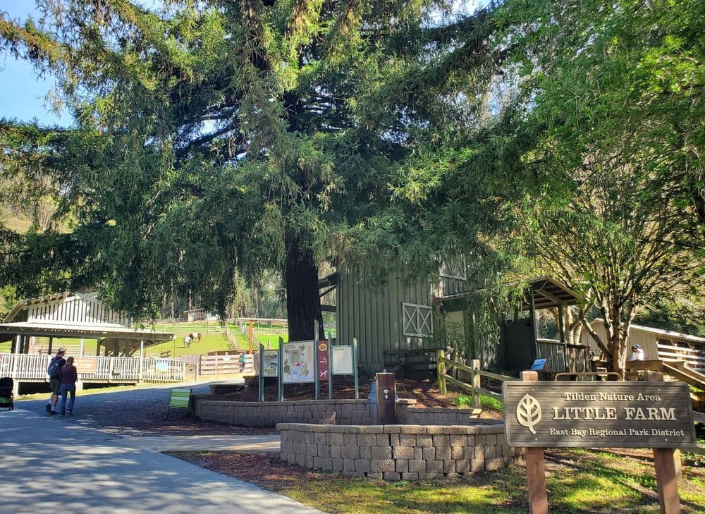 Tilden Little Farm
