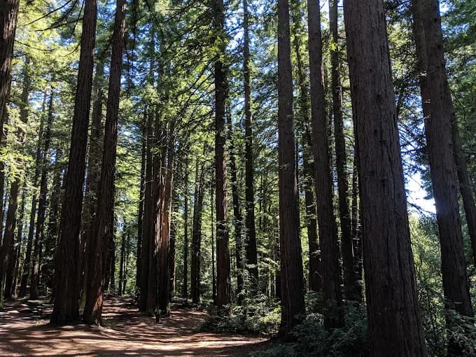 Robert's Regional Park