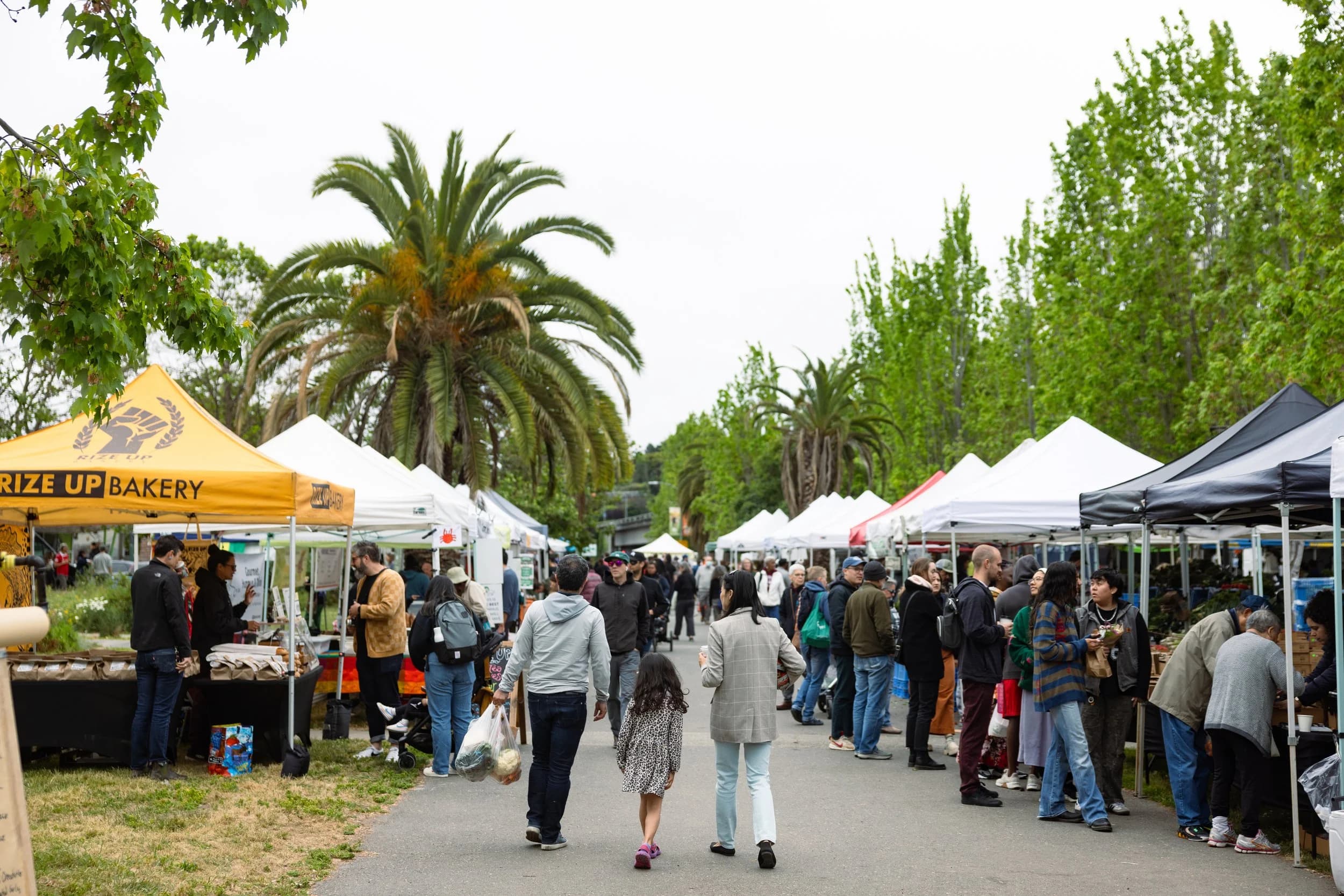 Grand Lake Farmer's Market